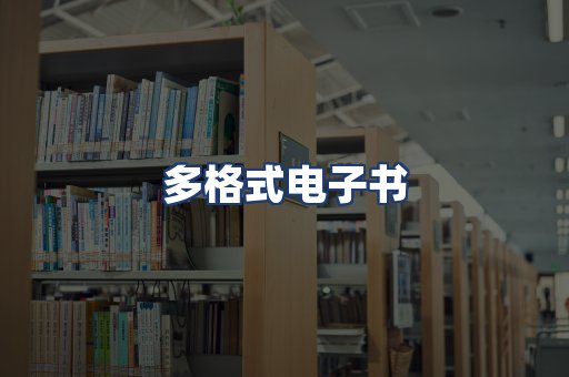 多格式电子书